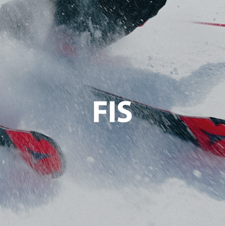 Горные лыжи FIS