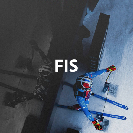 Горные лыжи FIS
